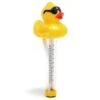 G.A.M.E. - Derby Duck Pool And Spa Thermometer -Hayward Shop Derby Duck Pool and Spa Thermometer