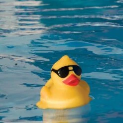 G.A.M.E. - Derby Duck Pool And Spa Thermometer -Hayward Shop Derby Duck Pool and Spa Thermometer 2