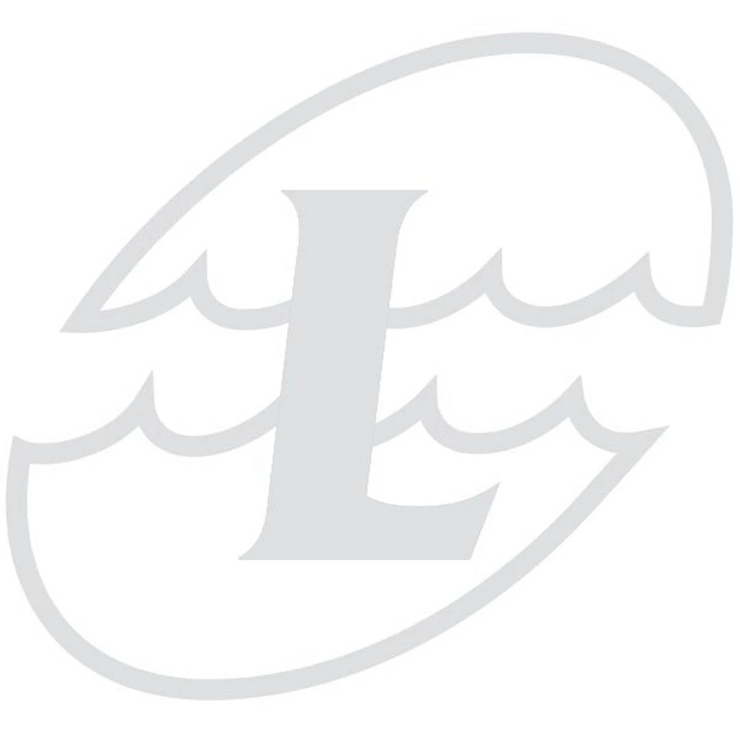 Waterway 411-9170 Elbow - 2" X 2"Socket X 3/4"Sb 3 Waterway 411-9170 Elbow - 2" X 2"Socket X 3/4"Sb